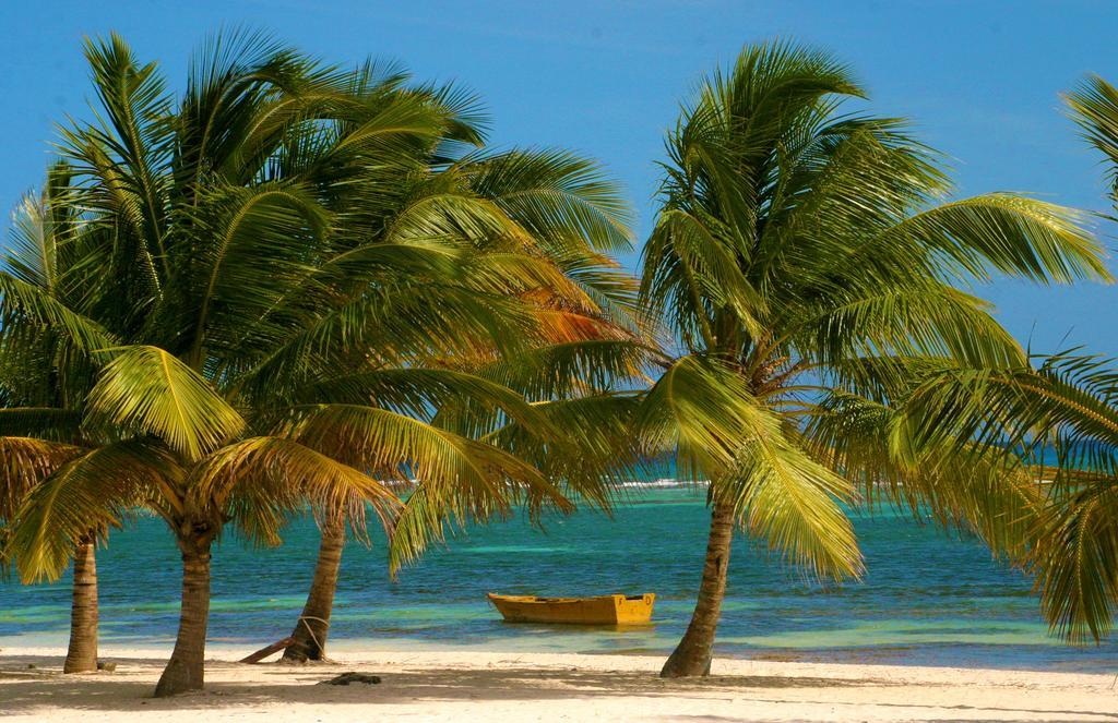Bayahibe Guest House Hotel 外观 照片