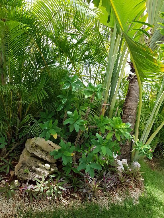 Bayahibe Guest House Hotel 外观 照片